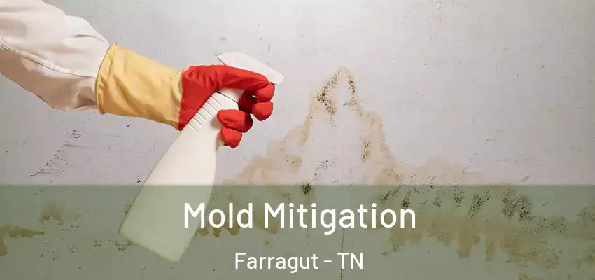  Mold Mitigation Farragut - TN