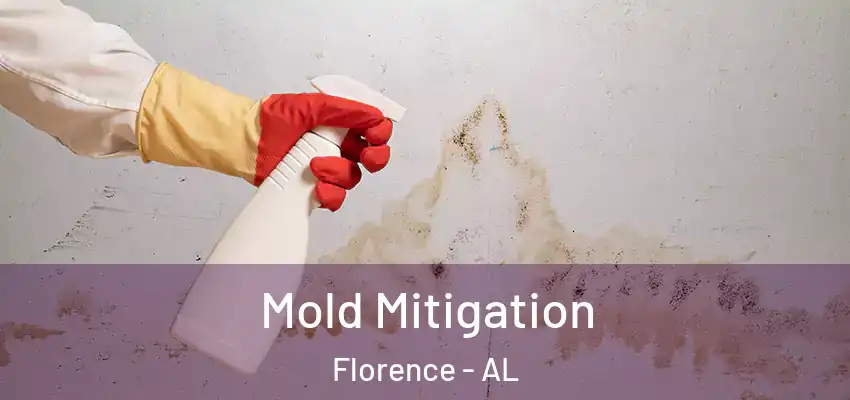  Mold Mitigation Florence - AL