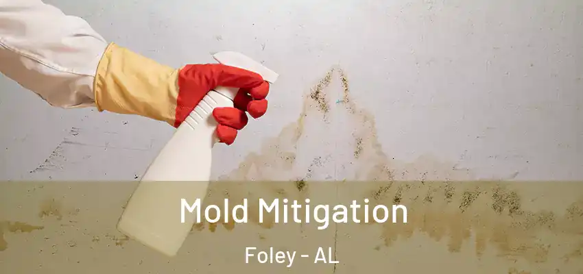 Mold Mitigation Foley - AL