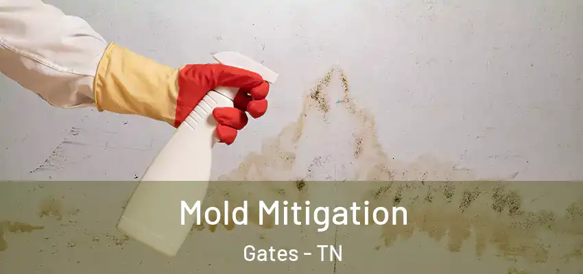 Mold Mitigation Gates - TN