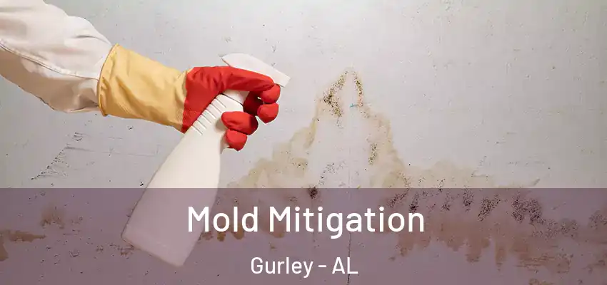 Mold Mitigation Gurley - AL