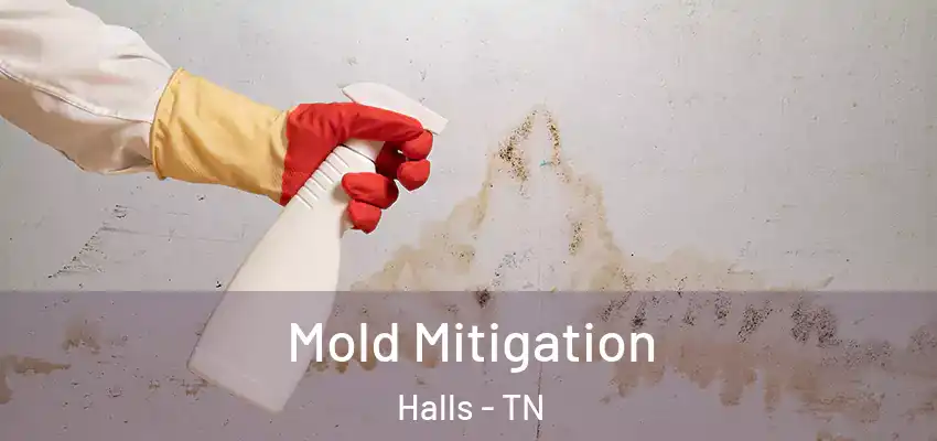  Mold Mitigation Halls - TN