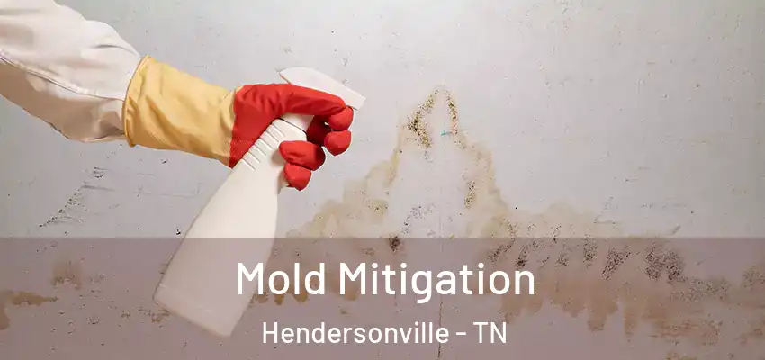 Mold Mitigation Hendersonville - TN