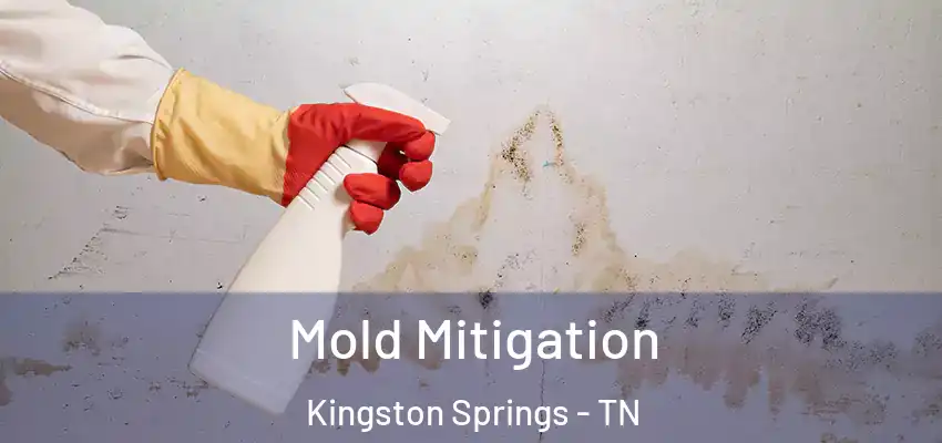 Mold Mitigation Kingston Springs - TN