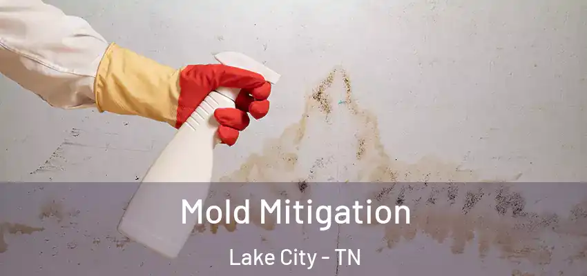 Mold Mitigation Lake City - TN