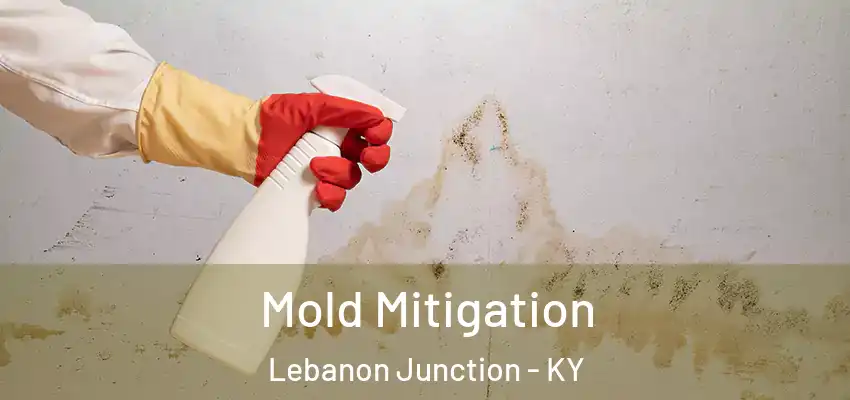 Mold Mitigation Lebanon Junction - KY