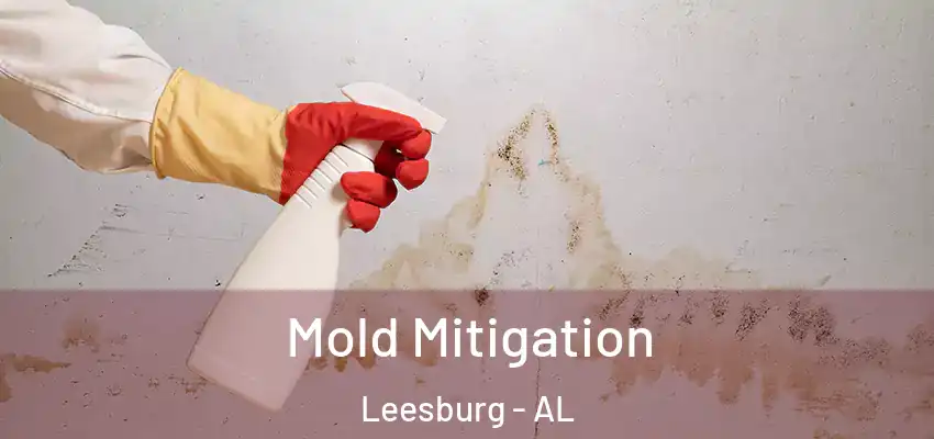 Mold Mitigation Leesburg - AL