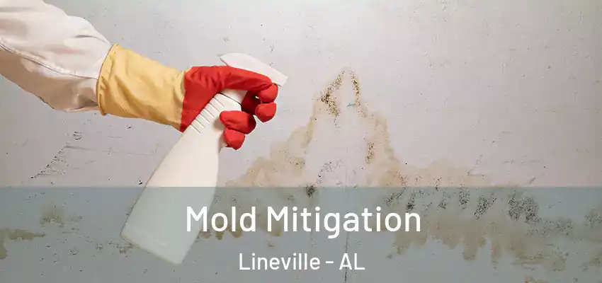 Mold Mitigation Lineville - AL