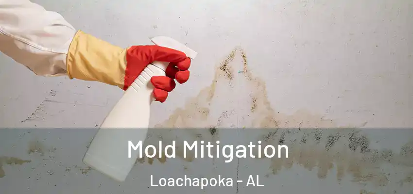  Mold Mitigation Loachapoka - AL