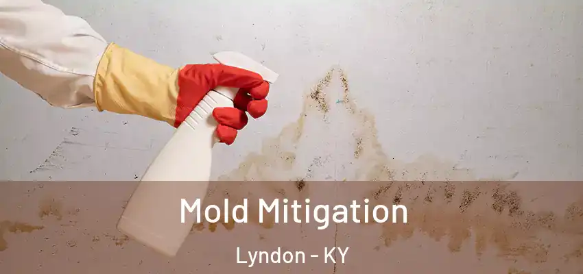 Mold Mitigation Lyndon - KY