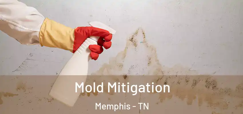  Mold Mitigation Memphis - TN
