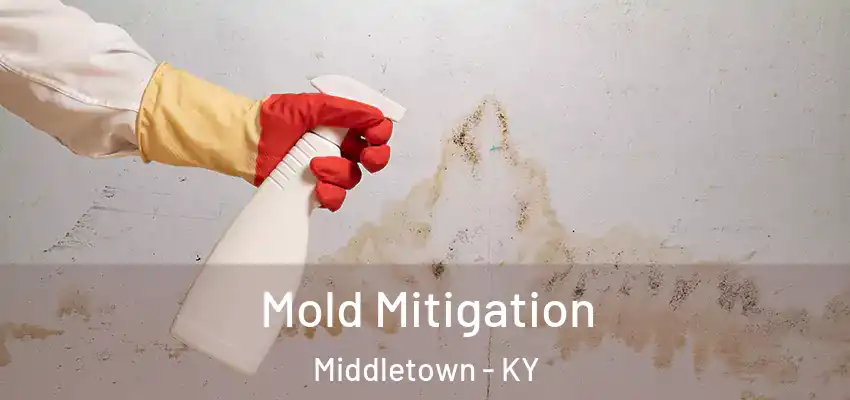  Mold Mitigation Middletown - KY