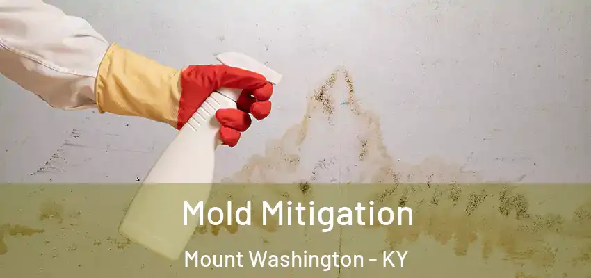 Mold Mitigation Mount Washington - KY