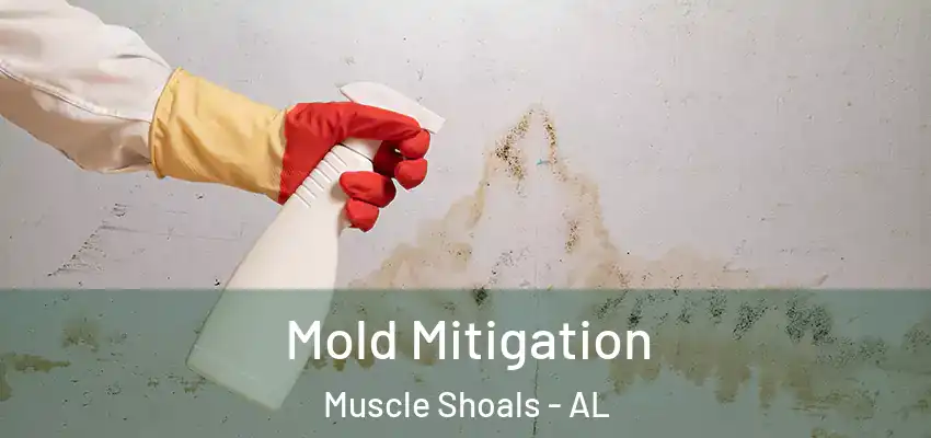  Mold Mitigation Muscle Shoals - AL