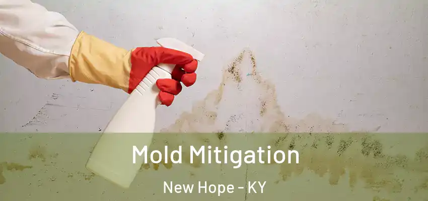  Mold Mitigation New Hope - KY