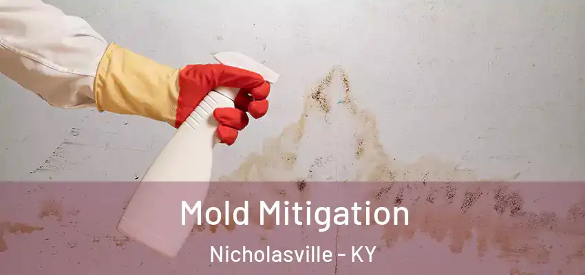 Mold Mitigation Nicholasville - KY