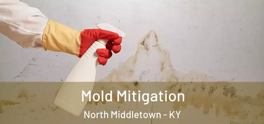 Mold Mitigation North Middletown - KY