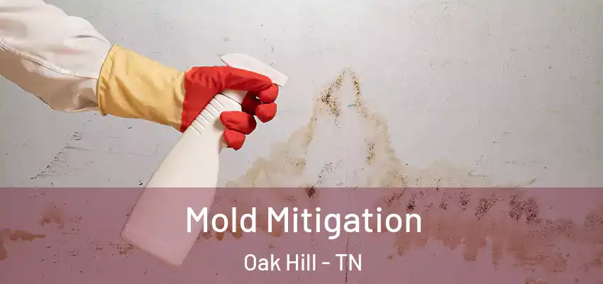 Mold Mitigation Oak Hill - TN