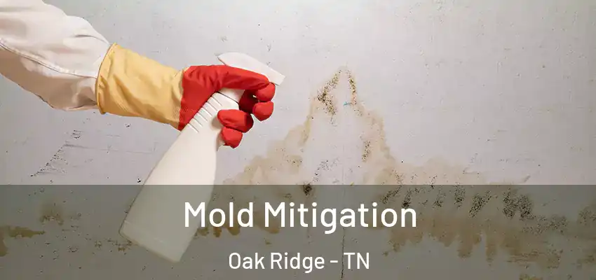 Mold Mitigation Oak Ridge - TN