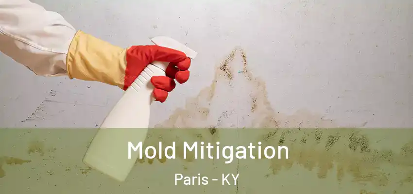  Mold Mitigation Paris - KY