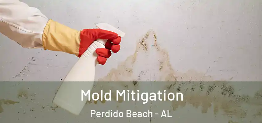 Mold Mitigation Perdido Beach - AL