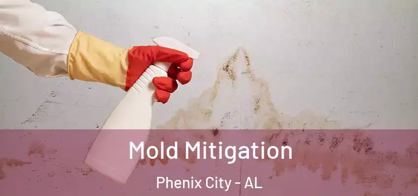 Mold Mitigation Phenix City - AL