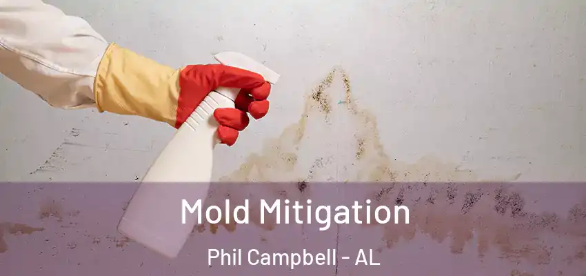  Mold Mitigation Phil Campbell - AL