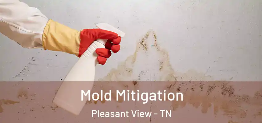 Mold Mitigation Pleasant View - TN