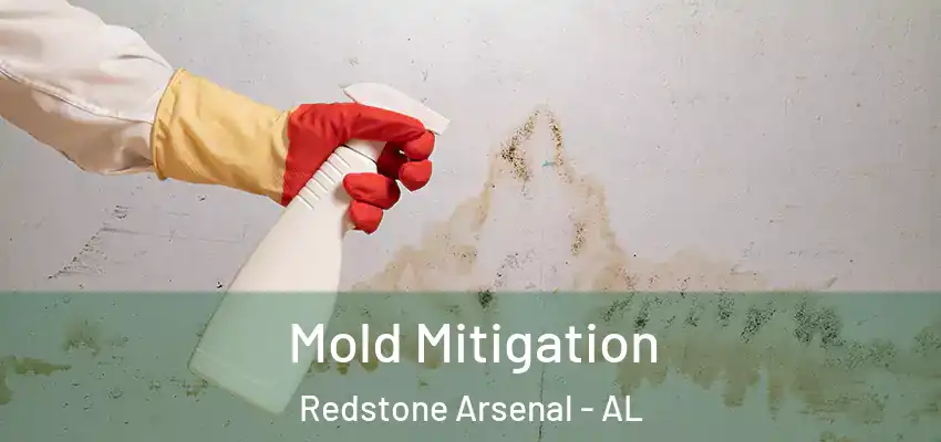  Mold Mitigation Redstone Arsenal - AL