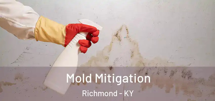 Mold Mitigation Richmond - KY