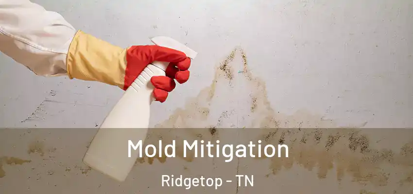  Mold Mitigation Ridgetop - TN