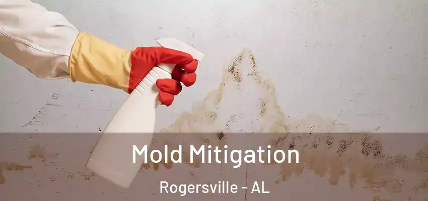 Mold Mitigation Rogersville - AL