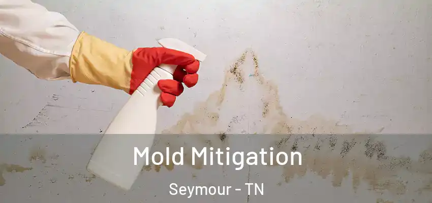 Mold Mitigation Seymour - TN