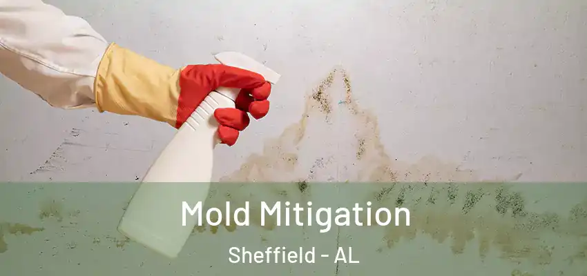  Mold Mitigation Sheffield - AL