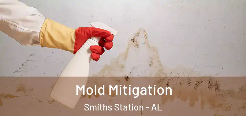 Mold Mitigation Smiths Station - AL