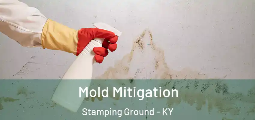 Mold Mitigation Stamping Ground - KY
