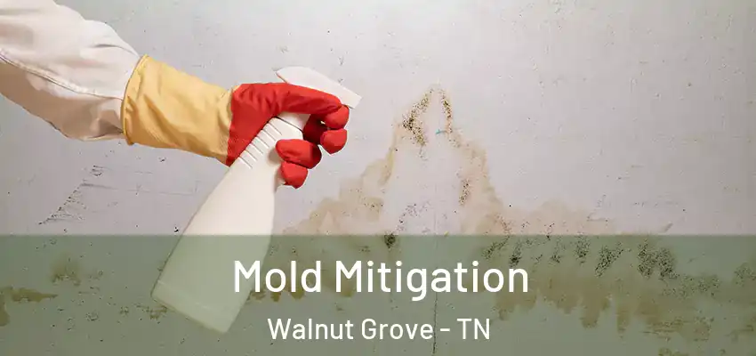 Mold Mitigation Walnut Grove - TN