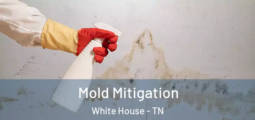 Mold Mitigation White House - TN
