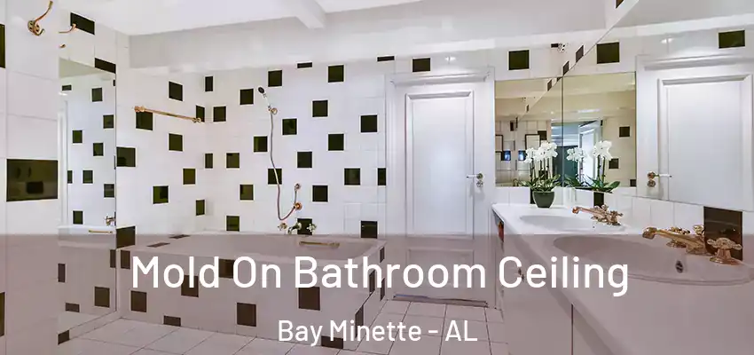  Mold On Bathroom Ceiling Bay Minette - AL