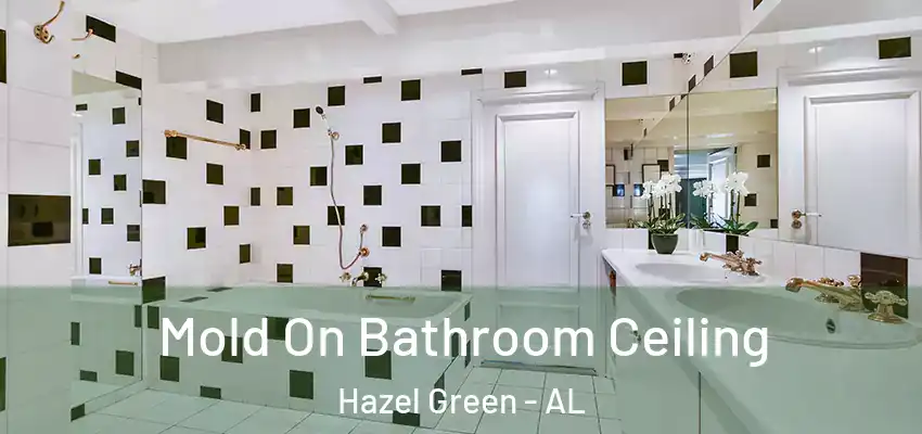  Mold On Bathroom Ceiling Hazel Green - AL