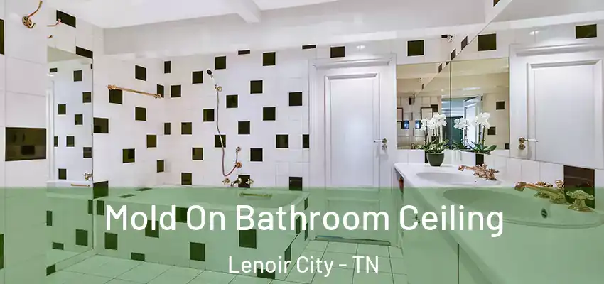 Mold On Bathroom Ceiling Lenoir City - TN