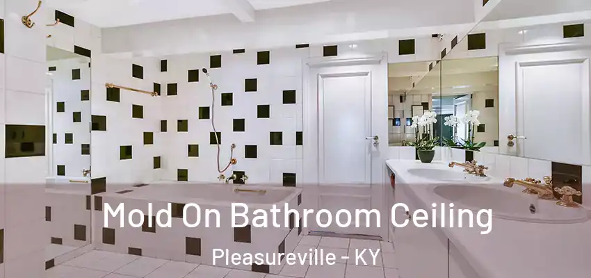  Mold On Bathroom Ceiling Pleasureville - KY