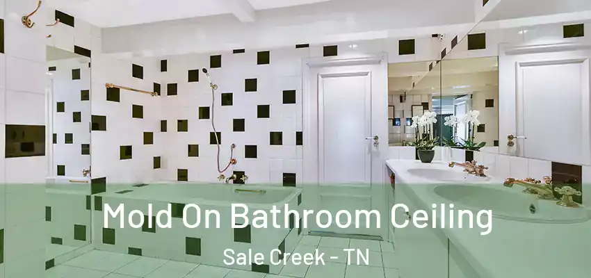 Mold On Bathroom Ceiling Sale Creek - TN