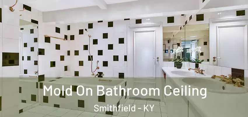 Mold On Bathroom Ceiling Smithfield - KY
