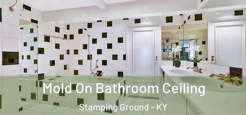  Mold On Bathroom Ceiling Stamping Ground - KY