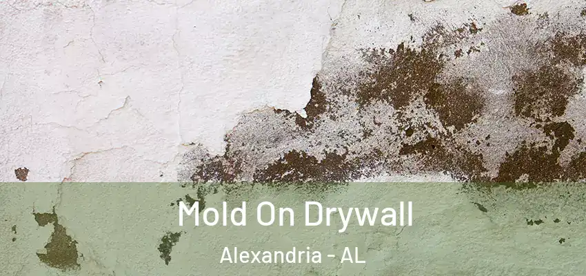  Mold On Drywall Alexandria - AL