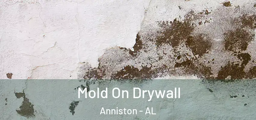 Mold On Drywall Anniston - AL