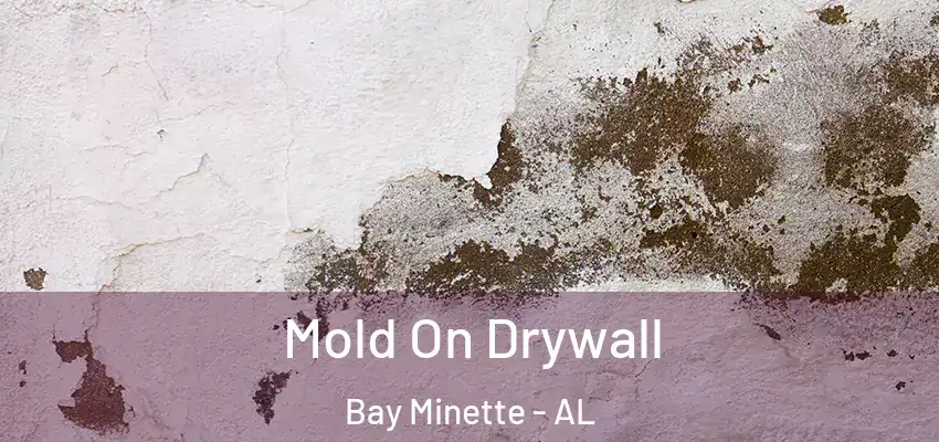  Mold On Drywall Bay Minette - AL