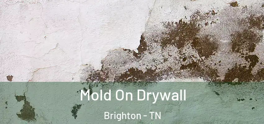 Mold On Drywall Brighton - TN
