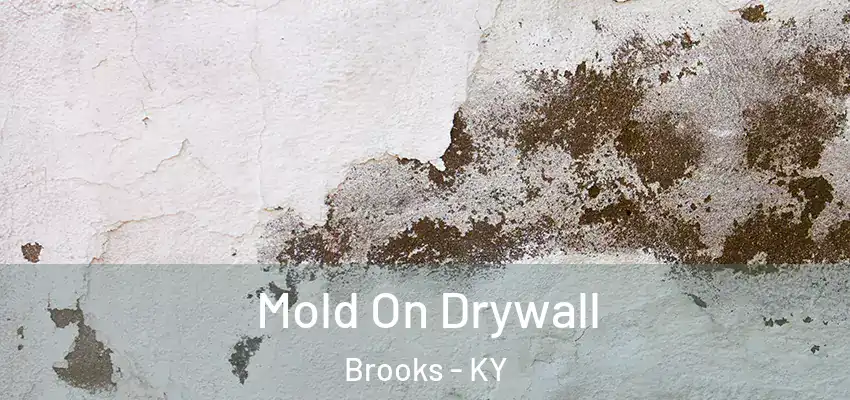  Mold On Drywall Brooks - KY